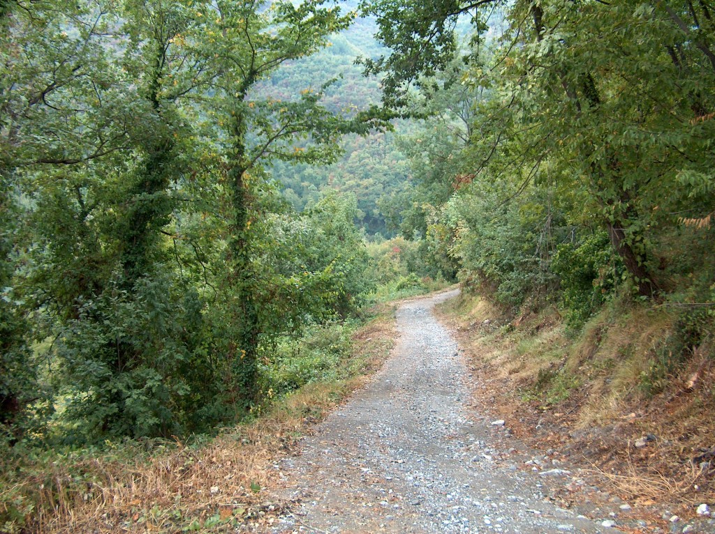 Sentiero di Bosco