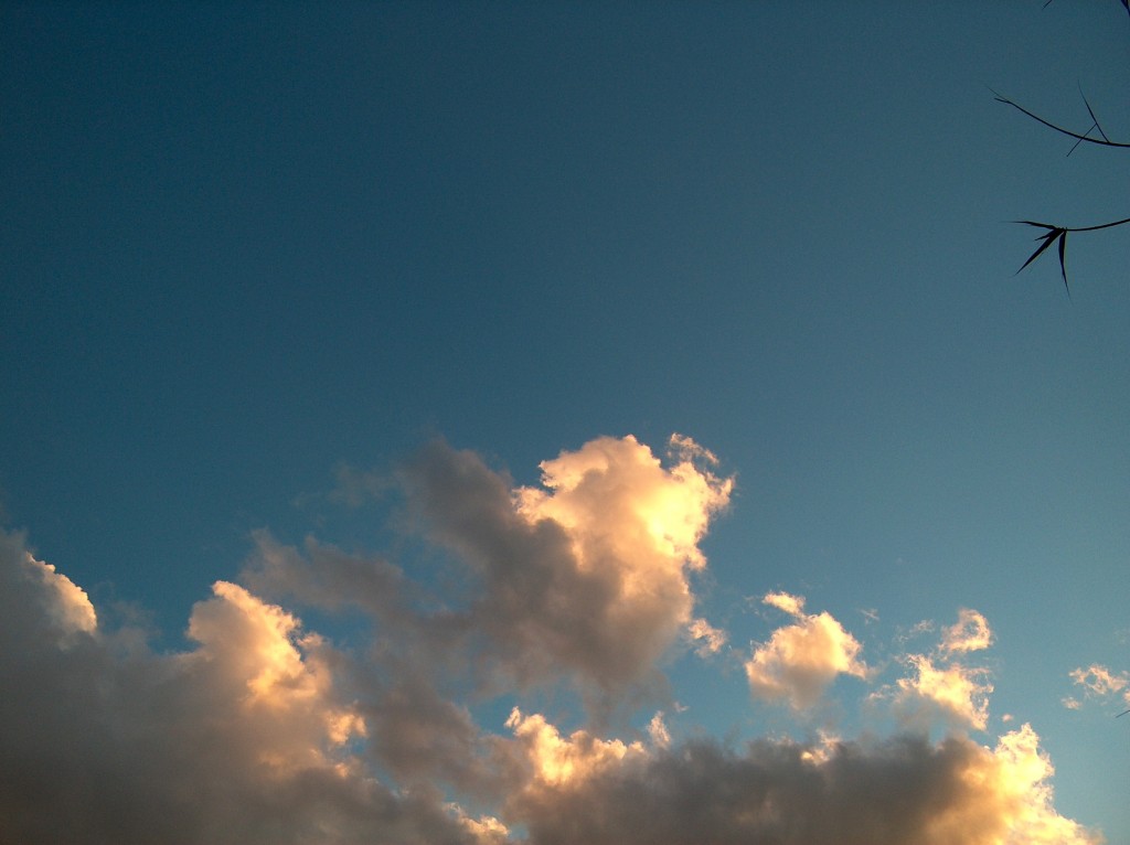 Cielo con Nuvolette