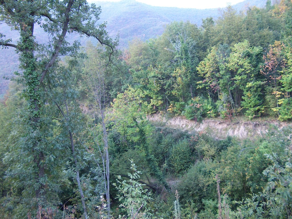 Sentiero di Montagna